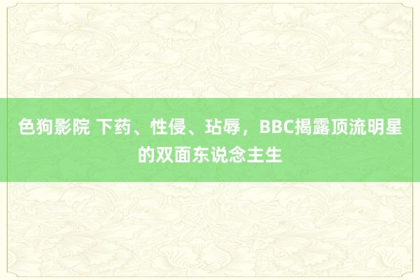 色狗影院 下药、性侵、玷辱，BBC揭露顶流明星的双面东说念主生
