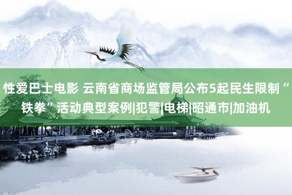 性爱巴士电影 云南省商场监管局公布5起民生限制“铁拳”活动典型案例|犯警|电梯|昭通市|加油机