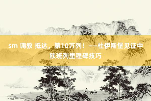 sm 调教 抵达，第10万列！——杜伊斯堡见证中欧班列里程碑技巧