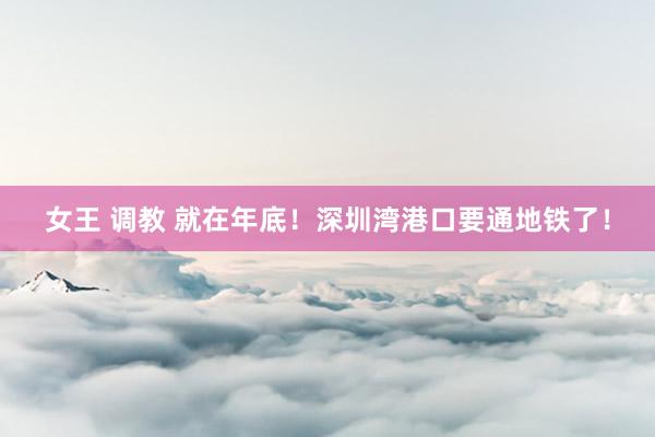 女王 调教 就在年底！深圳湾港口要通地铁了！