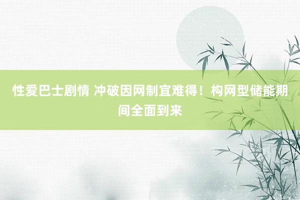 性爱巴士剧情 冲破因网制宜难得！构网型储能期间全面到来