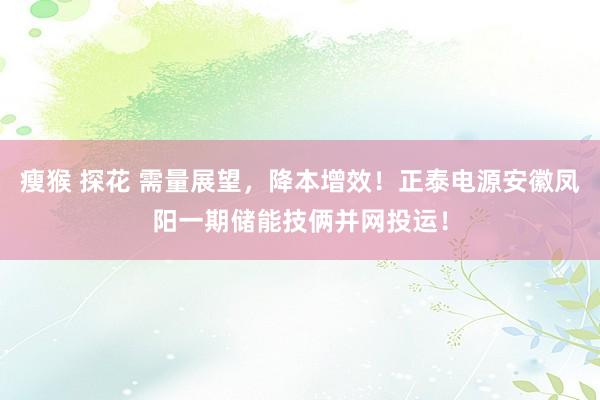 瘦猴 探花 需量展望，降本增效！正泰电源安徽凤阳一期储能技俩并网投运！
