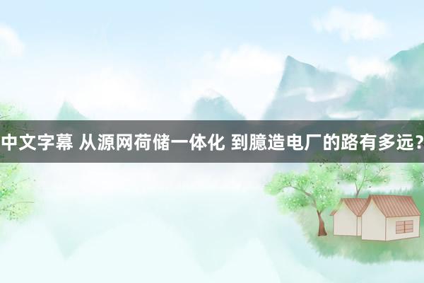 中文字幕 从源网荷储一体化 到臆造电厂的路有多远？