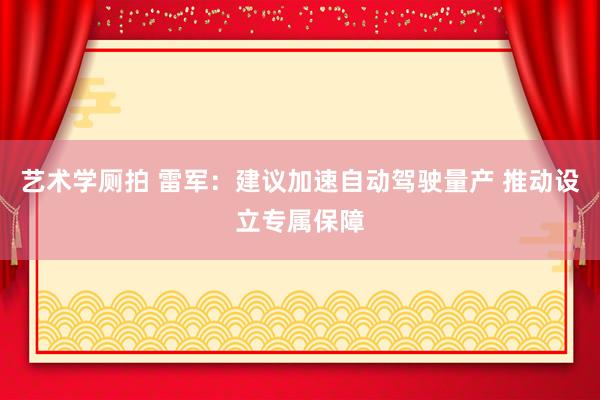 艺术学厕拍 雷军：建议加速自动驾驶量产 推动设立专属保障