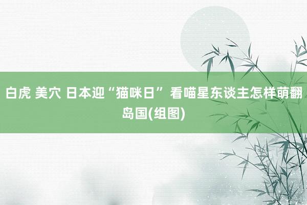 白虎 美穴 日本迎“猫咪日” 看喵星东谈主怎样萌翻岛国(组图)