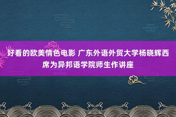 好看的欧美情色电影 广东外语外贸大学杨晓辉西席为异邦语学院师生作讲座