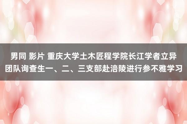 男同 影片 重庆大学土木匠程学院长江学者立异团队询查生一、二、三支部赴涪陵进行参不雅学习