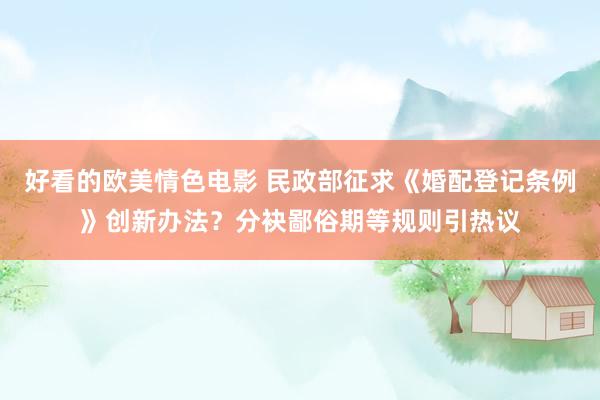好看的欧美情色电影 民政部征求《婚配登记条例》创新办法？分袂鄙俗期等规则引热议