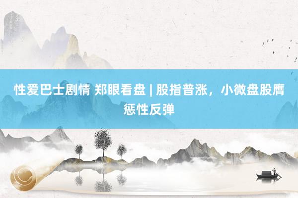 性爱巴士剧情 郑眼看盘 | 股指普涨，小微盘股膺惩性反弹