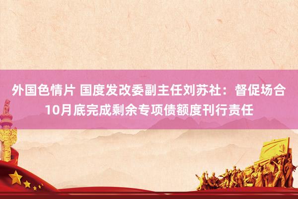 外国色情片 国度发改委副主任刘苏社：督促场合10月底完成剩余专项债额度刊行责任