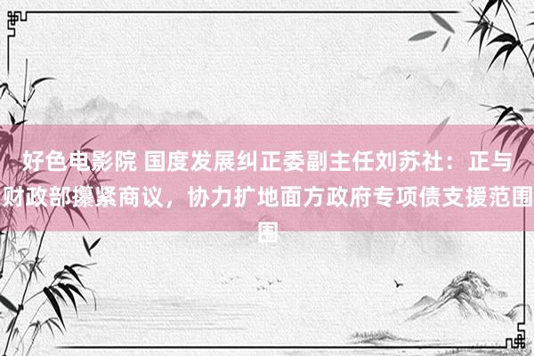 好色电影院 国度发展纠正委副主任刘苏社：正与财政部攥紧商议，协力扩地面方政府专项债支援范围