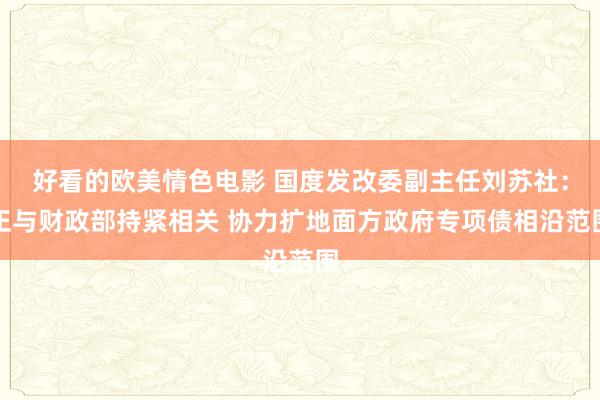 好看的欧美情色电影 国度发改委副主任刘苏社：正与财政部持紧相关 协力扩地面方政府专项债相沿范围