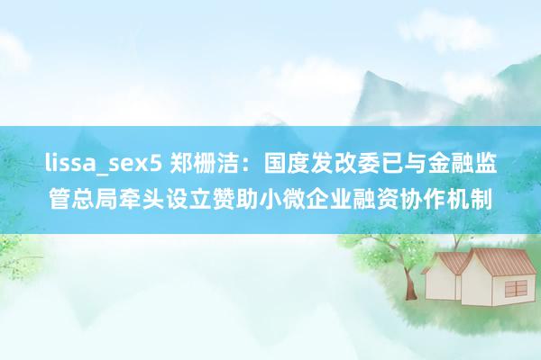 lissa_sex5 郑栅洁：国度发改委已与金融监管总局牵头设立赞助小微企业融资协作机制