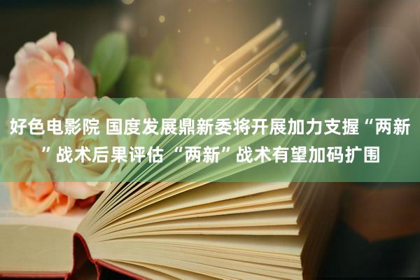 好色电影院 国度发展鼎新委将开展加力支握“两新”战术后果评估 “两新”战术有望加码扩围