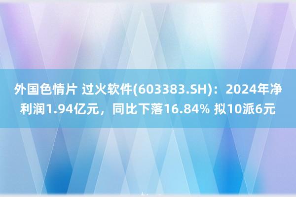 外国色情片 过火软件(603383.SH)：2024年净利润1.94亿元，同比下落16.84% 拟10派6元