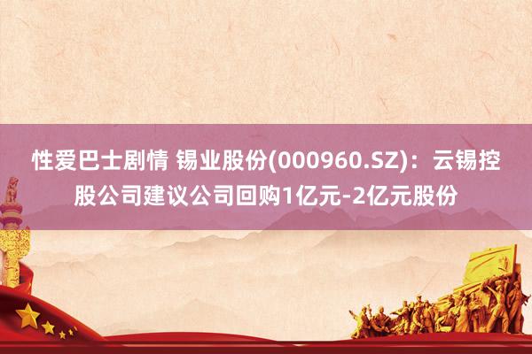 性爱巴士剧情 锡业股份(000960.SZ)：云锡控股公司建议公司回购1亿元-2亿元股份